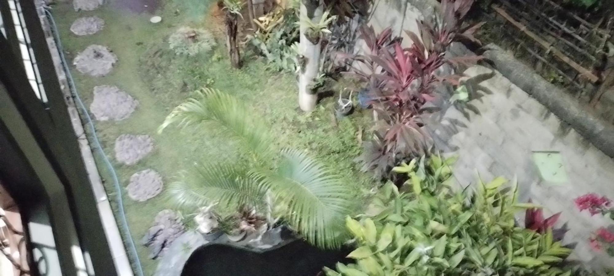 KAMI Homestay Banyuwangi  Luaran gambar